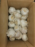 紫白皮蒜水果大蒜超市即食生鲜蔬菜大蒜 【精选】净重 2.8斤 单果3.5-5cm 实拍图