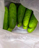京鲜生 山东童年旱黄瓜 净重5斤 单果100g+ 水果小青瓜 轻食 源头直发 实拍图