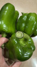 现摘新鲜圆辣椒超市即食太空椒皮厚肉多不辣水果灯笼椒 1斤试吃装 1斤 实拍图