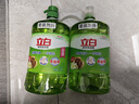 立白 茶籽洗洁精2.9kg A类去污洁净99%除菌去油快不伤手洗涤灵洗碗液 实拍图