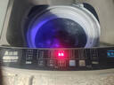 志高（CHIGO）全自动洗衣机 家用小型波轮 洗脱一体机大容量 公寓宿舍出租房 18KG咖啡金【蓝光洗护+风干洁桶+强电机】 实拍图