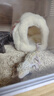 CARNO PET PRODUCTS卡诺麦当劳仓鼠棉窝保暖过冬躲避屋金丝熊花枝鼠用品 实拍图