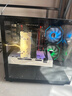 七彩虹 RTX5060Ti/RTX5060/5050高配独显+英特尔高端18核36线程台式电脑电竞直播设计主机i5/i7/i9组装机 配置二【高端设计/游戏全能/吃鸡永劫三角洲】 电脑主机+外设礼包【 实拍图