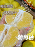 京鲜生 白肉蜜柚 2粒 单果2-2.5斤  生鲜水果礼盒 实拍图