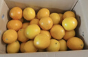 集年鲜赣南脐橙手剥甜橙子新鲜现摘生鲜水果整箱节日送礼 含箱10斤净重9斤优选果（单果160-280g) 实拍图