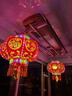 梦多福灯笼大门阳台挂的2025带灯红灯笼新年彩灯装饰春节旋转灯笼一对 福星高照一对 周长157cm直径50cm LED光源+福字灯牌+吸顶盘 实拍图