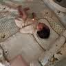 乖奇熊婴儿纯棉连体衣春秋款新生儿衣服三角包屁衣宝宝哈衣秋天a类衣服 实拍图