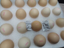 京鲜生鲜鸡蛋20枚/盒 健康轻食 营养健康 2斤/盒 源头直发  实拍图