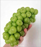 京鲜生 阳光玫瑰葡萄 青提4-4.5斤礼盒装 单果约10g 生鲜水果 生鲜礼盒 实拍图