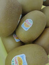 佳沛（zespri）新西兰  阳光金奇异果10粒礼盒巨大果单果约144-175g 水果 猕猴桃 实拍图