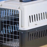 腆宠宠物航空箱小号 猫咪航空箱猫狗 猫包猫笼外出车载猫箱狗狗托运 实拍图