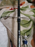 二次元 海竿抛竿碳素超轻超硬 3.6米海杆长节远投竿海钓竿鱼竿钓鱼渔具 实拍图