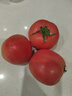京鲜生 山东海阳普罗旺斯净重4.5斤单果150g起新鲜沙瓤西红柿源头直发 实拍图