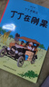 当当正版童书 丁丁历险记 比利时漫画大师埃尔热经典巨作 中小学生课外阅读书动画片连环画卡通故事【7-12岁】 大开本经典新版全22册 实拍图