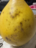 福建平和老树红柚 新鲜现摘 皮薄肉厚多汁 蜜柚柚子 2-3斤（1-2粒）推荐 实拍图
