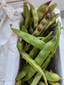 京鲜生山东新鲜油豆角1.8斤装新鲜蔬菜源头直发包邮 实拍图