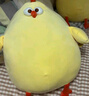 名创优品（MINISO）墩dun鸡系列毛绒公仔玩具卧室教室办公室睡觉抱枕生日礼物小号 实拍图
