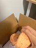 美善模型人脑解剖模型可拆分8部件 脑结构大脑脑动脉模型 脑血管分布脑模型脑功能区脑解剖脑动脉脑神经 自然8部件大脑-32个标识款 实拍图