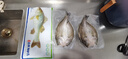 仙泉湖冷冻三去白蕉海鲈鱼700g/袋生鲜水产食材(350g*2条) 生鲜食材 实拍图