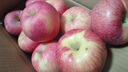 京鲜生 陕西洛川红富士苹果净重5斤 单果80-85mm 源头直发 实拍图