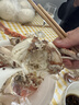 鲜活梭子蟹100-150g/只 实拍图