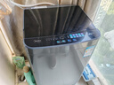 美的（Midea）波轮洗衣机全自动家用 MB65V36E 6.5公斤 宿舍租房 迷你洗衣机小型 随心洗 以旧换新 家电国家补贴 实拍图