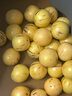 译蒙之味正宗云南人参果圆果树上熟人生果水果当季孕妇新鲜大果清甜整箱 大果5斤【单果80-100g】精选 实拍图