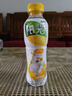 阳光【0系列】阳光 无糖柠檬味茶饮料500ml 实拍图