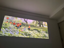 极米Z9X 4K 全新轻薄4K光学变焦投影 1300CVIA真实高亮 家用智能投影仪高清家庭影院云台 国家补贴 实拍图