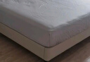 富安娜全棉床笠纯棉单件床罩80S长绒棉床垫罩1.5x2米双人床垫保护套 实拍图