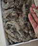 卖鱼郎先生青岛盐冻大虾净重3斤 15-20只/斤 白虾大虾基围虾生鲜 虾类 实拍图