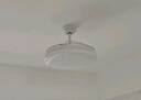 雷士（NVC）LED照明风扇灯吊扇灯餐厅全光谱1级能效【政府补贴】42寸包安装 实拍图