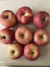 西域美农正宗陕西洛川红富士苹果2025年新果4.5斤250g+ 脆甜新鲜 源头直发 实拍图