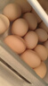 东方甄选谷物鲜鸡蛋/DHA/大码蛋可生食新鲜营养早餐溏心蛋生鲜谷物喂养 30枚 1.5kg 谷物鲜鸡蛋 实拍图