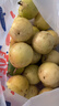 京典光年广西灵山钦蜜9号百香果 黄金百香果纯甜水果新鲜现摘整箱 实惠中果3斤（单果45-60g） 实拍图