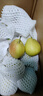 京鲜生 新疆库尔勒香梨 净重10斤 一级 单果100-120g 生鲜水果 实拍图