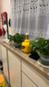 双盟绿萝盆栽除甲醛花卉绿植办公室新房净化空气180加仑4盆装源头直发 实拍图