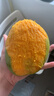 【双十一热卖】玉芒水果芒果新鲜上市 带箱4斤单果200g 实拍图