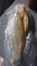 鲜京采 冷冻三去黄花鱼(宁德大黄鱼)1700g (5条装)  礼盒 生鲜海鱼  实拍图