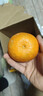 京鲜生 爱媛果冻橙 10斤装 单果150g起 生鲜水果桔子礼盒 实拍图