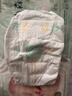 好奇（Huggies）小森林纸尿裤M50片(6-11kg)尿不湿心钻【透氧顶配更低敏】 实拍图