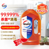 威露士（Walch）消毒液2L衣物除菌液灭甲流感病毒消毒水家居卫生宠物杀菌非84酒精 实拍图