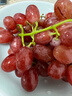 京觅 克伦生无籽红提葡萄 净重2斤 皮薄酸甜 新鲜水晶水果 源头直发 实拍图