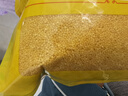 十月稻田 黄小米1kg 原粮产自赤峰市敖汉旗 内蒙古 敖汉小米 小米粥 实拍图