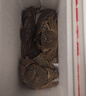 【活蟹】漁家师傅大闸蟹全母3.0-3.3两8只去绳足重鲜活螃蟹现货生鲜水产海鲜礼盒 实拍图