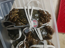 【活蟹】蟹宗鲜活大闸蟹公4-4.3母3.0-3.3两5对10只水产螃蟹生鲜鲜活海鲜礼盒节日送礼 实拍图
