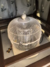 万宝取暖器小太阳家用鸟笼式烤火炉卧室电热扇节能省电小型电暖器电烤炉速热 奶油色【碳晶盘】无极调温 实拍图