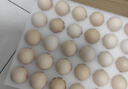 德青源无抗富硒鲜鸡蛋30枚3斤 鸡蛋京东自营礼盒装 营养早餐礼盒装 实拍图