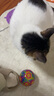 【京东快递】猫咪玩具球猫薄荷狗狗闪光发光球铃铛球玩具解闷神器 红色球1个【铃铛款】 实拍图