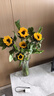【向日葵】生日礼物鲜切花云南基地直发新鲜太阳花鲜花毕业花束 向日葵5枝 中大花 中大花向日葵 实拍图